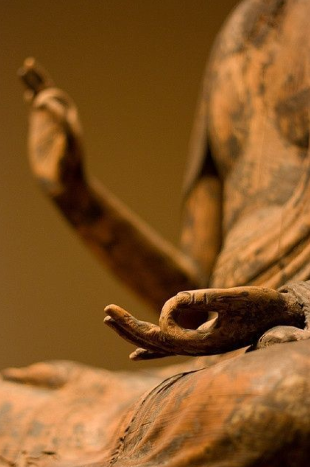 How to Choose Your First Rudraksha (Even If You Don’t Know Your Planet)
