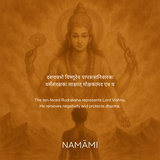10 Mukhi Rudraksha | Certified, Nepal Origin