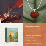 1 Mukhi Rudraksha | Certified