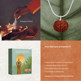 3 Mukhi Rudraksha (Certified, Nepal Origin)