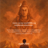 5 Mukhi Rudraksha | Certified, Nepal Origin | Launch Offer ✨